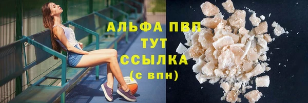 сатива Аркадак