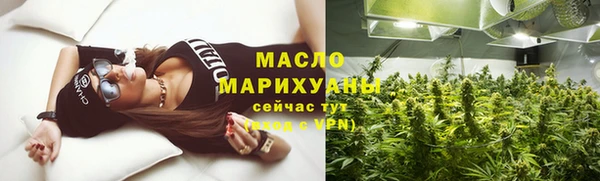 сатива Аркадак