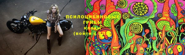 сатива Аркадак