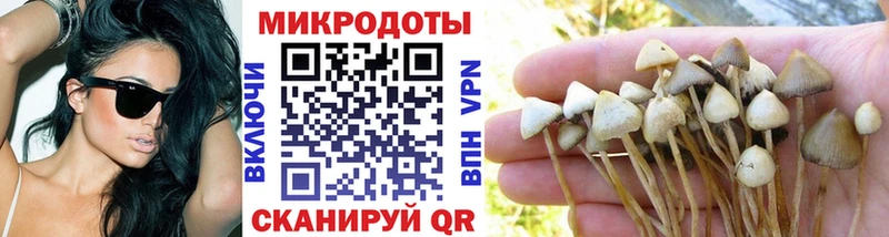 Псилоцибиновые грибы мицелий  Троицк 